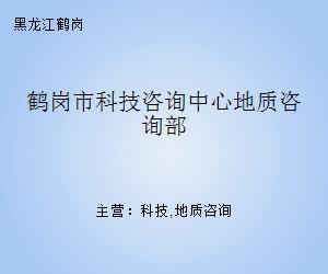 鹤岗市科技咨询中心地质咨询部 科技中介服务的专业支撑