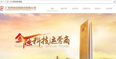 为互联网金融实现技术支撑 网金控股集团域名启用引领科技中介服务新篇章