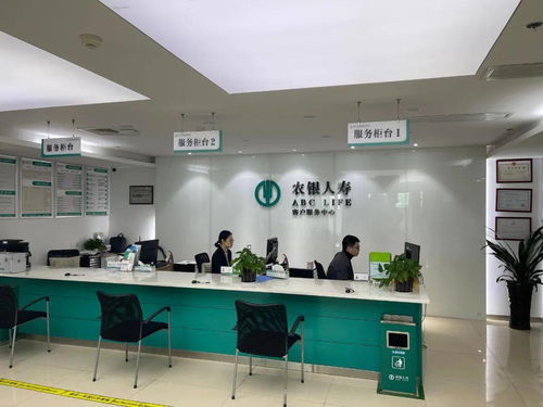 3.15专栏 标准与服务并举——科技中介服务窗口建设组图展现新风貌